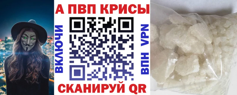 A PVP СК КРИС  Сыктывкар 