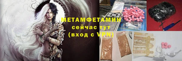 прущие грибы Лихославль