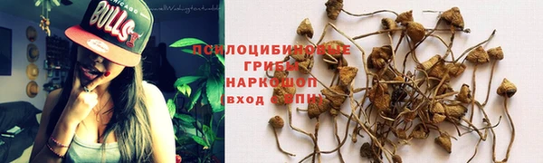 гидропоника Магадан