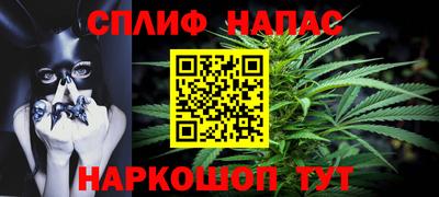 гашик Донской