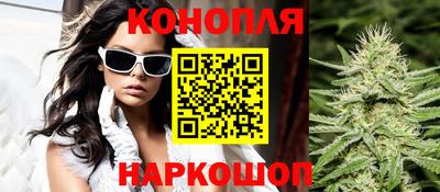 гашик Донской
