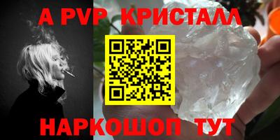 гашик Донской